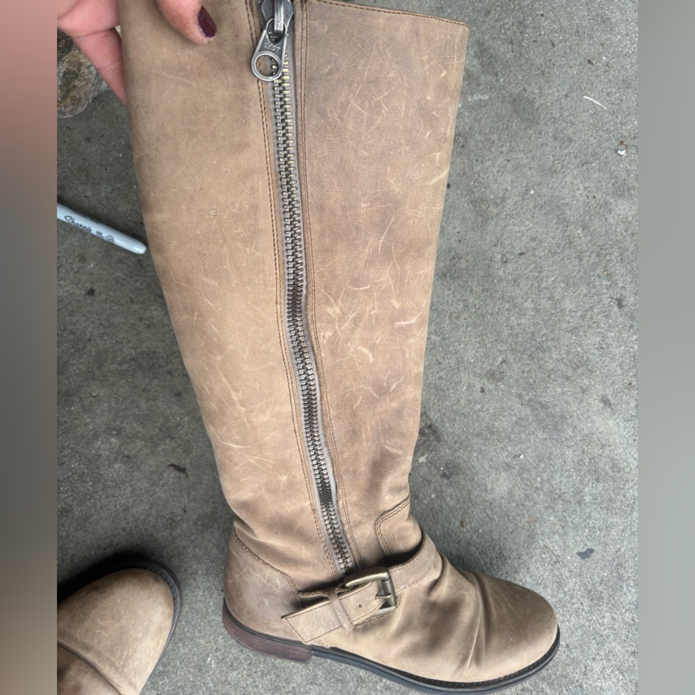 Women’s Tall Side-Zip Riding Boots - Beige  STEVE  MADDEN